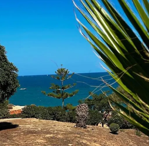Cozy 350 Meters From The Beach. דירה *
